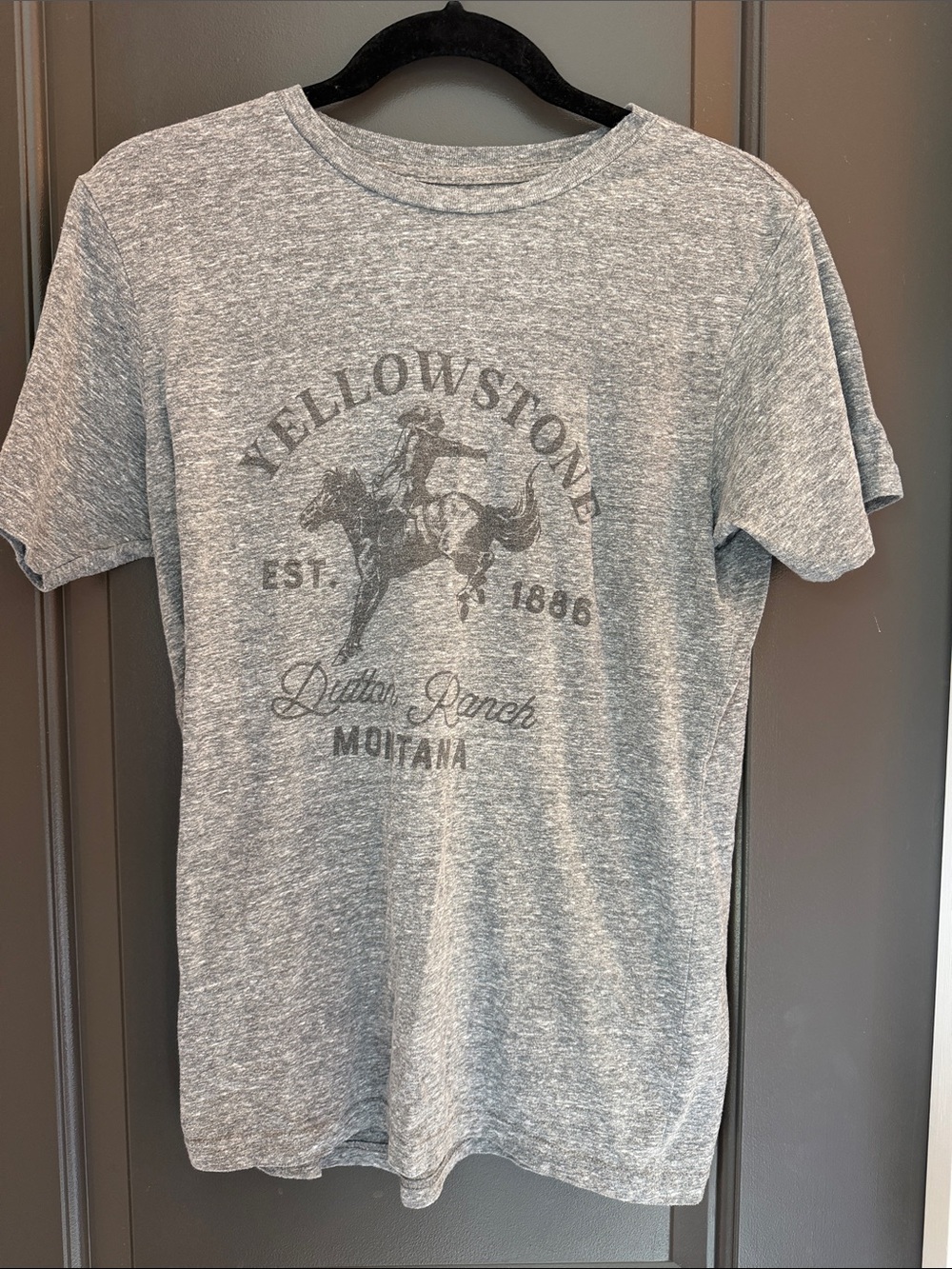 Yellowstone Graphic Crewneck T-Shirt - Gray Size S
